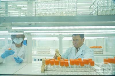 科技創(chuàng)新引領(lǐng)綠色發(fā)展 特種蠶絲、楊樹新品種與長(zhǎng)江生態(tài)保護(hù)的協(xié)同探索